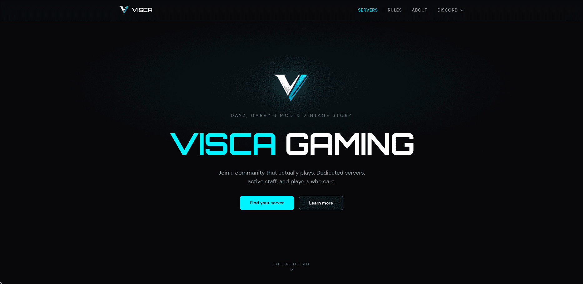 Visca Gaming homepage